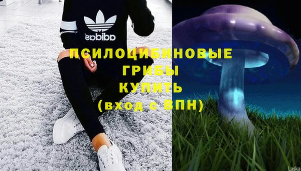 мяу мяу мука Бородино