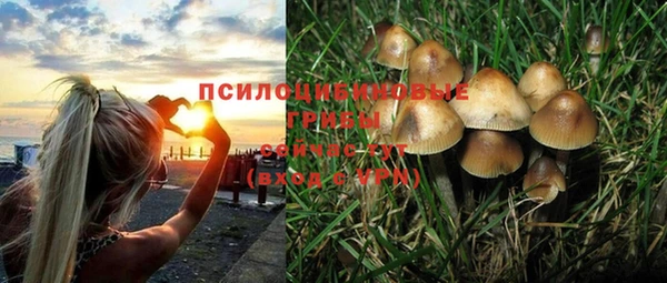дмт Бугульма