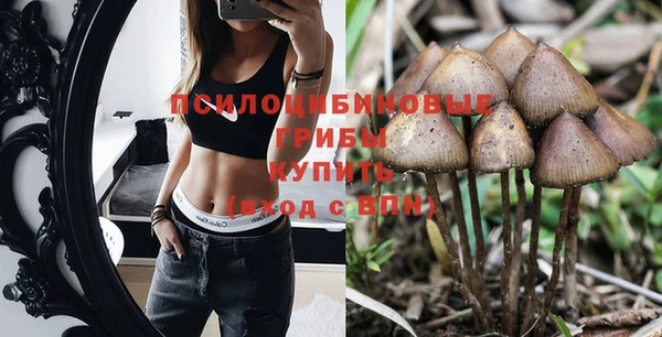 ешки Бронницы