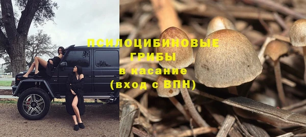 мяу мяу мука Бородино