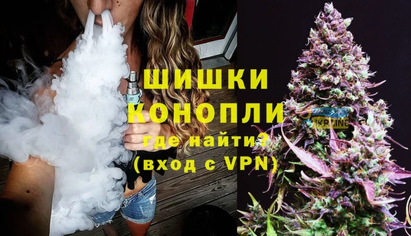 мяу мяу мука Бородино