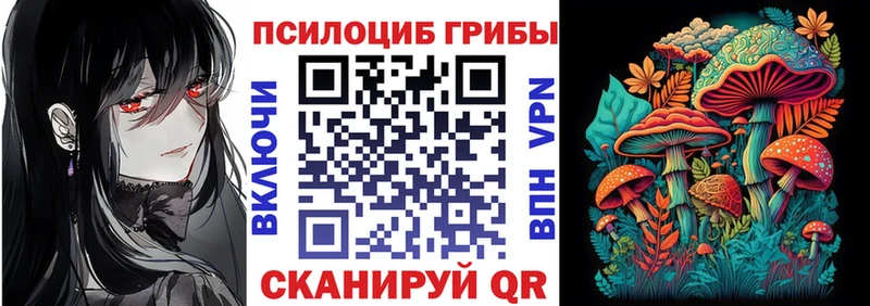 что такое наркотик  Череповец  Галлюциногенные грибы мицелий 