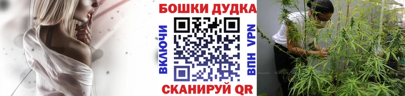 Бошки Шишки марихуана Череповец